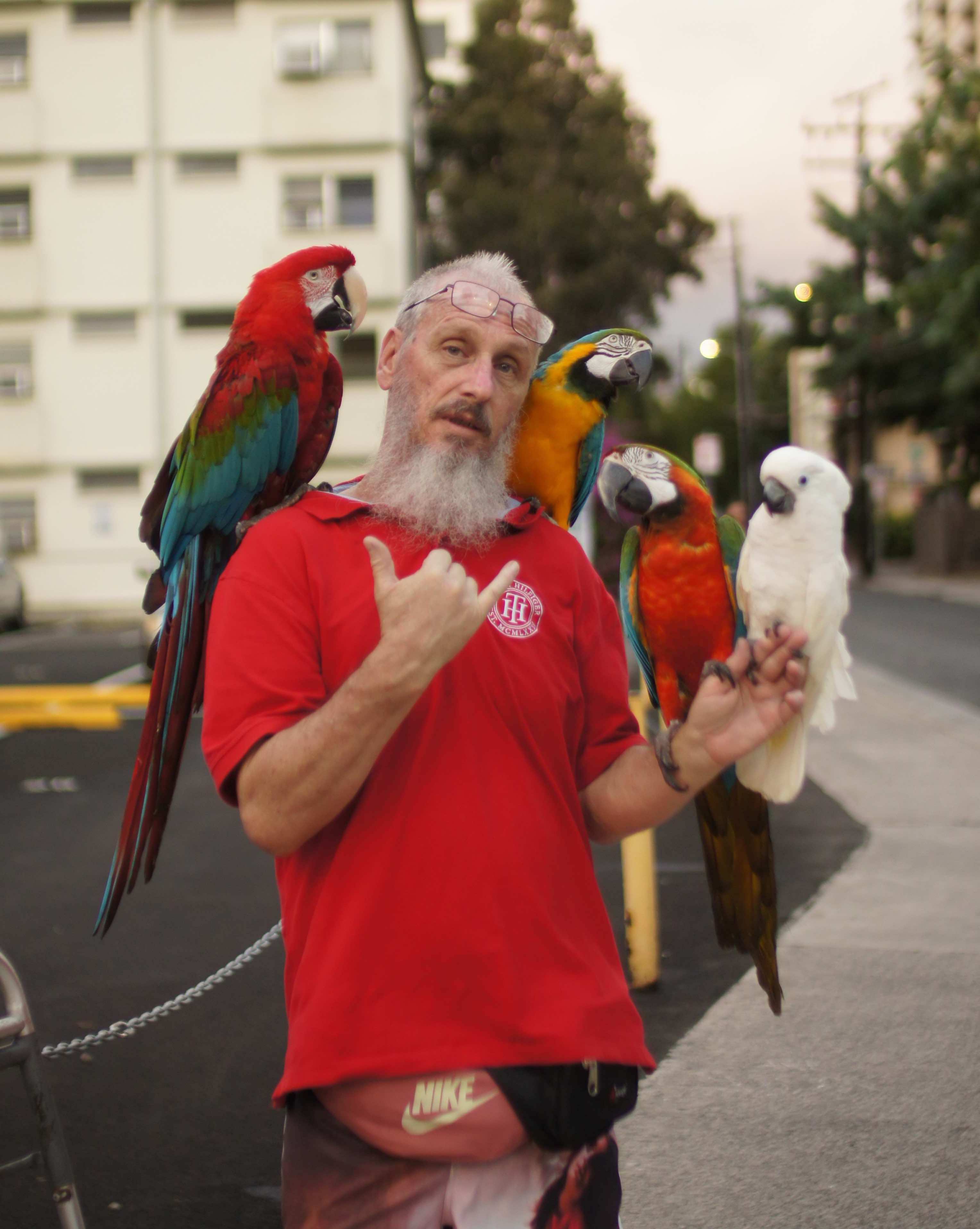man with 4 parrots throws up a shaka